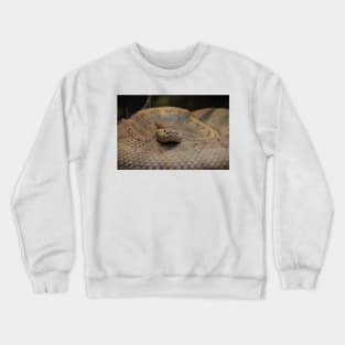 Strike Crewneck Sweatshirt